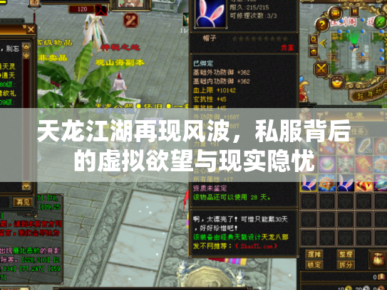 天龙江湖再现风波，私服背后的虚拟欲望与现实隐忧