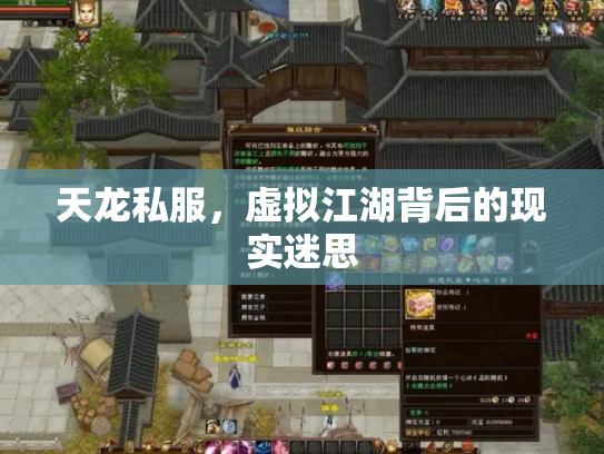 天龙私服，虚拟江湖背后的现实迷思