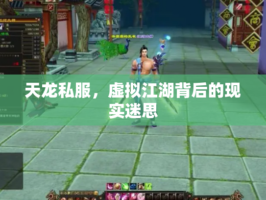 天龙私服，虚拟江湖背后的现实迷思