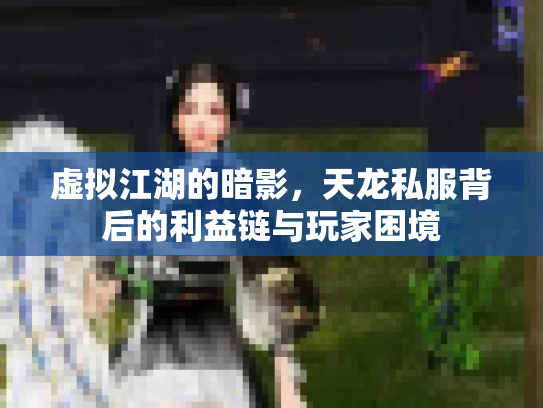 虚拟江湖的暗影，天龙私服背后的利益链与玩家困境