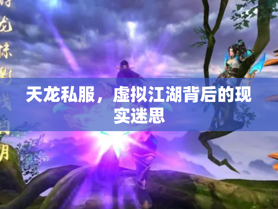 天龙私服，虚拟江湖背后的现实迷思