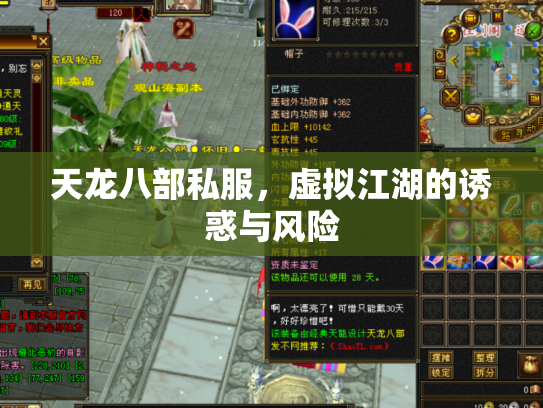 天龙八部私服，虚拟江湖的诱惑与风险