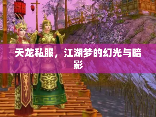天龙私服，江湖梦的幻光与暗影