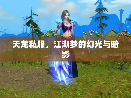 天龙私服，江湖梦的幻光与暗影