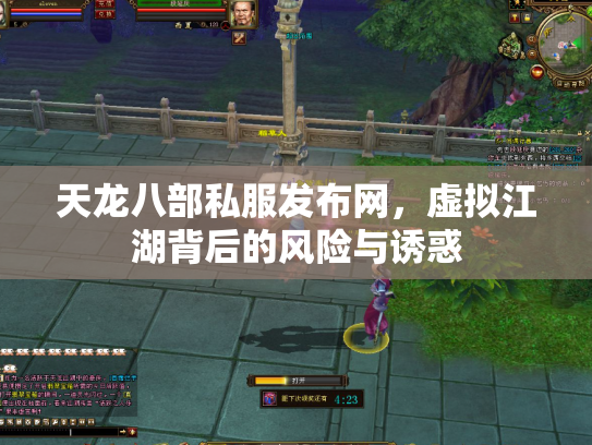 天龙八部私服发布网，虚拟江湖背后的风险与诱惑