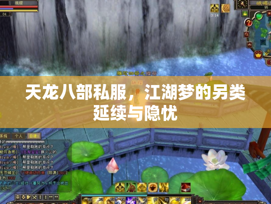 天龙八部私服，江湖梦的另类延续与隐忧