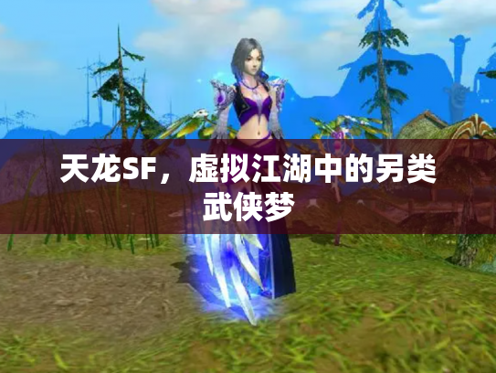 天龙SF，虚拟江湖中的另类武侠梦