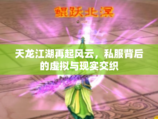 天龙江湖再起风云，私服背后的虚拟与现实交织