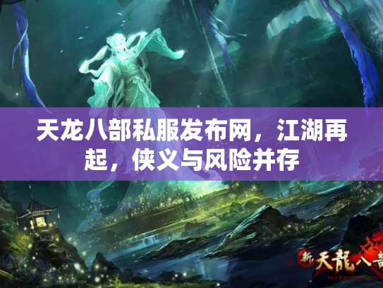 天龙八部私服发布网，江湖再起，侠义与风险并存