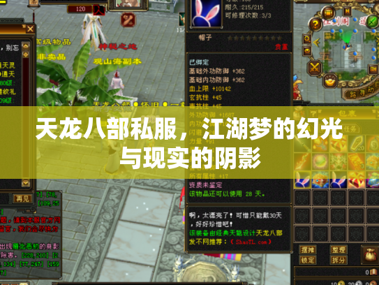 天龙八部私服，江湖梦的幻光与现实的阴影