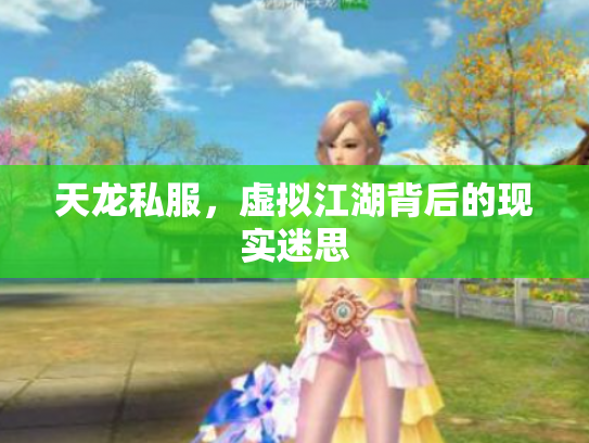 天龙私服，虚拟江湖背后的现实迷思