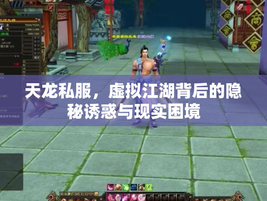 天龙私服，虚拟江湖背后的隐秘诱惑与现实困境