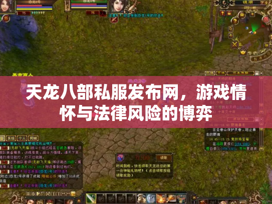 天龙八部私服发布网，游戏情怀与法律风险的博弈