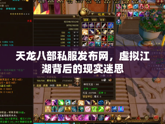 天龙八部私服发布网，虚拟江湖背后的现实迷思