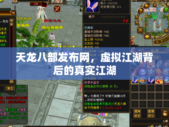 天龙八部发布网，虚拟江湖背后的真实江湖