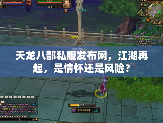天龙八部私服发布网，江湖再起，是情怀还是风险？