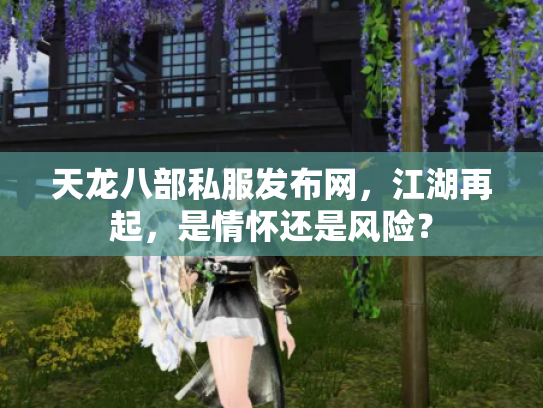 天龙八部私服发布网，江湖再起，是情怀还是风险？