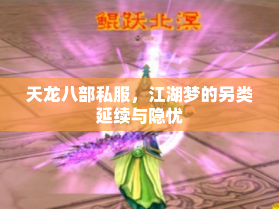 天龙八部私服，江湖梦的另类延续与隐忧