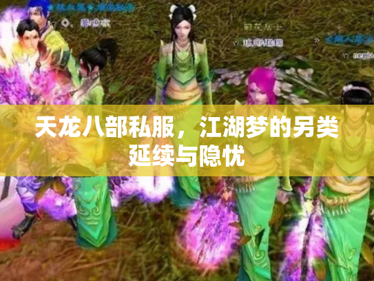 天龙八部私服，江湖梦的另类延续与隐忧
