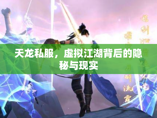 天龙私服，虚拟江湖背后的隐秘与现实