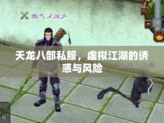 天龙八部私服，虚拟江湖的诱惑与风险