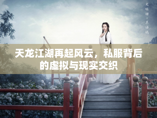 天龙江湖再起风云，私服背后的虚拟与现实交织