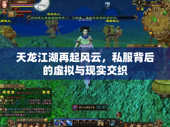 天龙江湖再起风云，私服背后的虚拟与现实交织