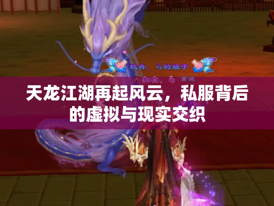 天龙江湖再起风云，私服背后的虚拟与现实交织