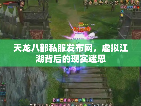 天龙八部私服发布网，虚拟江湖背后的现实迷思