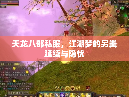 天龙八部私服，江湖梦的另类延续与隐忧