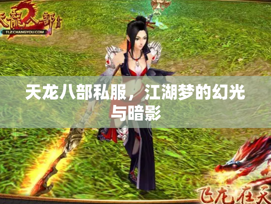 天龙八部私服，江湖梦的幻光与暗影