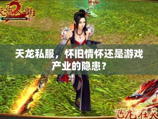 天龙私服，怀旧情怀还是游戏产业的隐患？