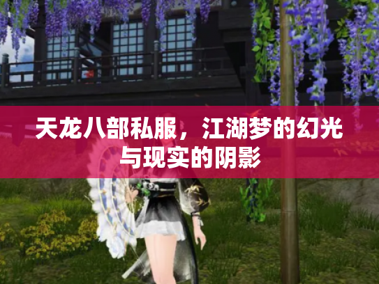 天龙八部私服，江湖梦的幻光与现实的阴影