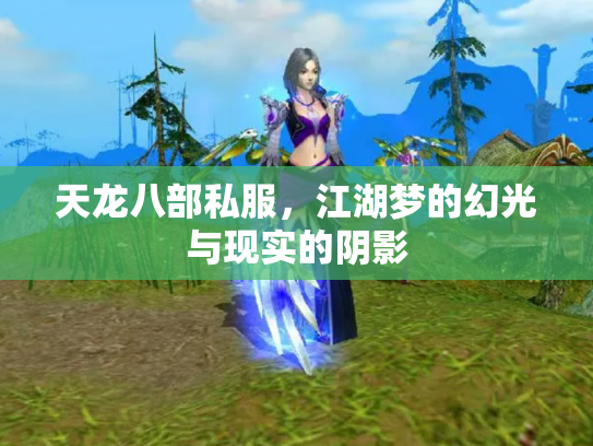 天龙八部私服，江湖梦的幻光与现实的阴影