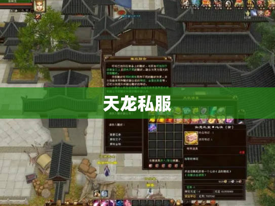 天龙私服