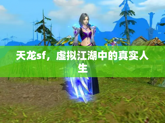 天龙sf，虚拟江湖中的真实人生