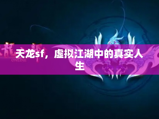 天龙sf，虚拟江湖中的真实人生