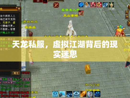 天龙私服，虚拟江湖背后的现实迷思