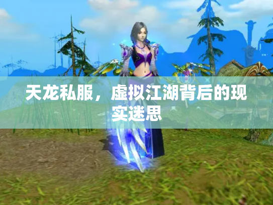 天龙私服，虚拟江湖背后的现实迷思