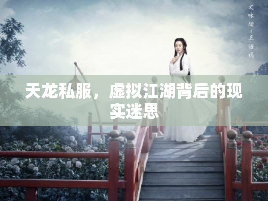 天龙私服，虚拟江湖背后的现实迷思