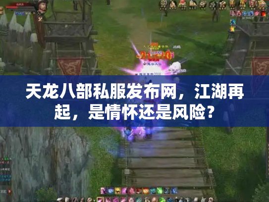 天龙八部私服发布网，江湖再起，是情怀还是风险？