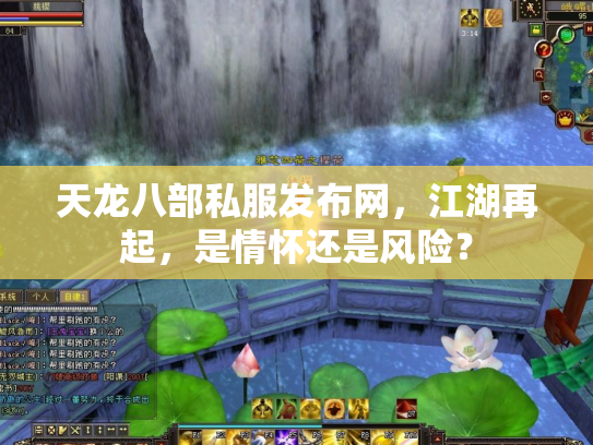 天龙八部私服发布网，江湖再起，是情怀还是风险？