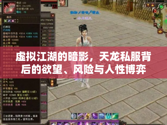 虚拟江湖的暗影，天龙私服背后的欲望、风险与人性博弈