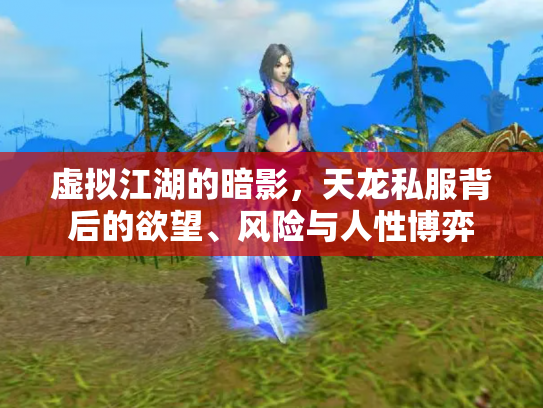 虚拟江湖的暗影，天龙私服背后的欲望、风险与人性博弈