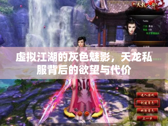 虚拟江湖的灰色魅影，天龙私服背后的欲望与代价