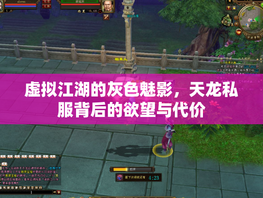 虚拟江湖的灰色魅影，天龙私服背后的欲望与代价