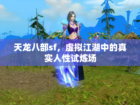 天龙八部sf，虚拟江湖中的真实人性试炼场
