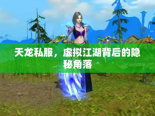 天龙私服，虚拟江湖背后的隐秘角落