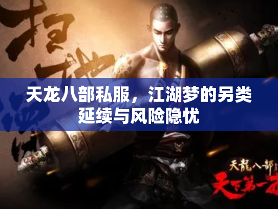 天龙八部私服，江湖梦的另类延续与风险隐忧
