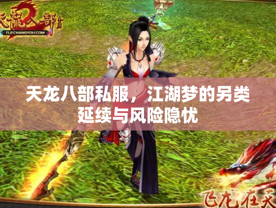 天龙八部私服，江湖梦的另类延续与风险隐忧